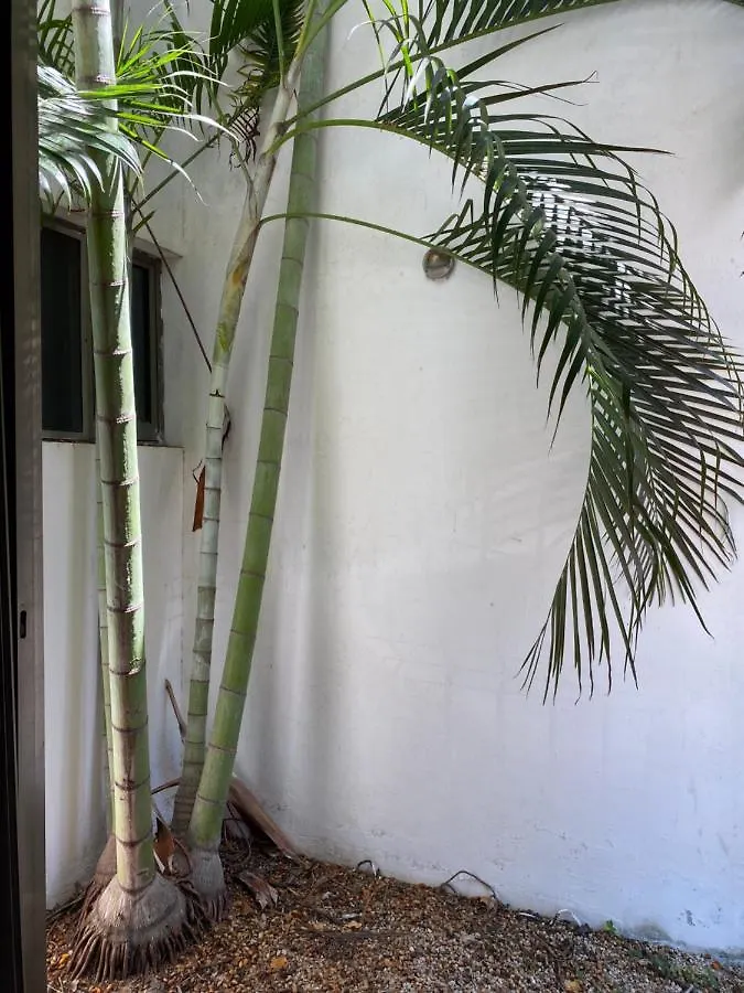 Apartmán Condo Playa Playa del Carmen
